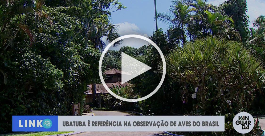 eventos em ubatuba
