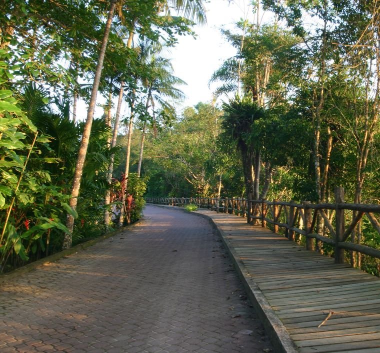 Rua interna do Itamambuca Eco Resort cercada por vegetação da Mata Atlântica