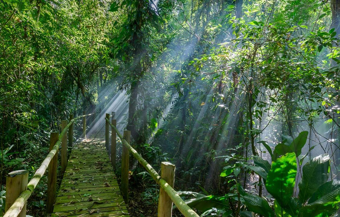Trilha dos Guaiamuns no Itamambuca Eco Resort