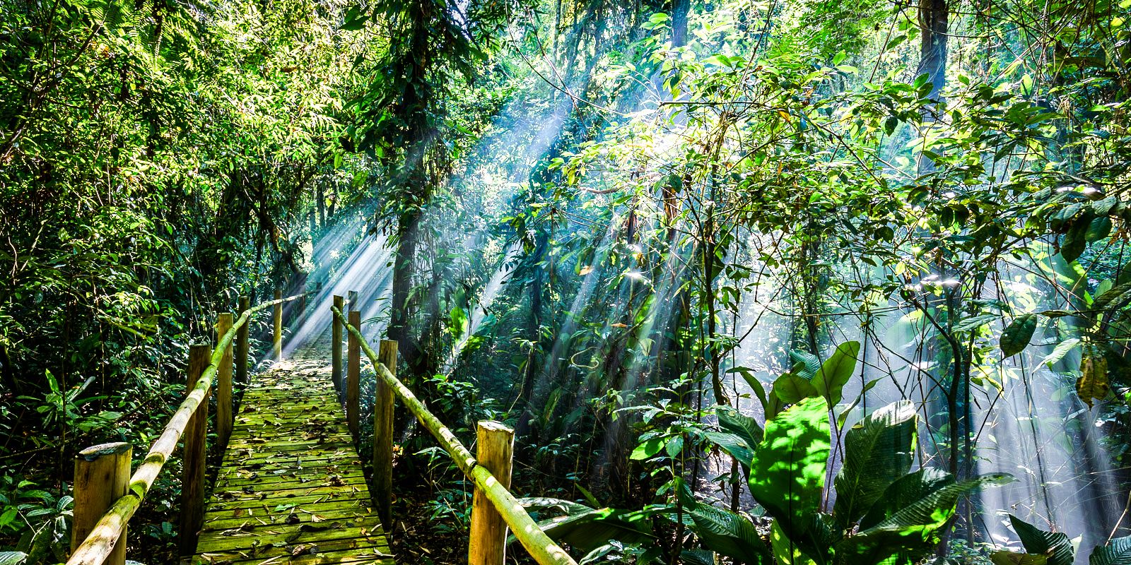 eventos em ubatuba
